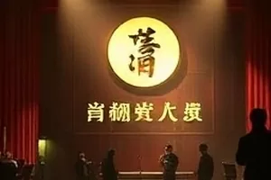 《城市候鸟计划》横版海报，候鸟群掠过城市天际线